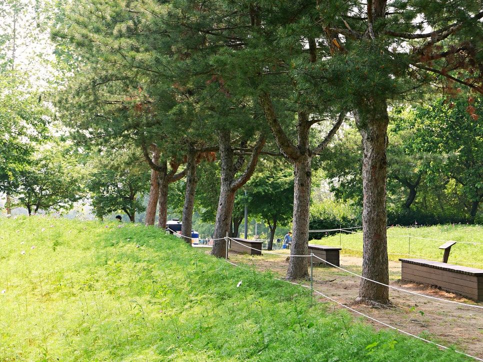 수원 탑동시민농장