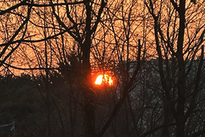 사육신공원