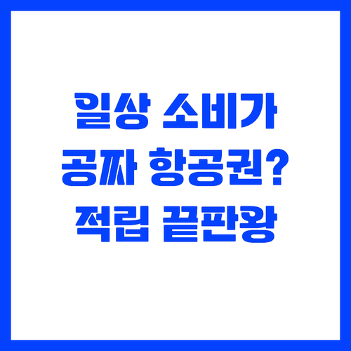 일상 소비를 항공권으로 바꾸는 스마트..