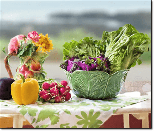 바이오플라보노이드식품