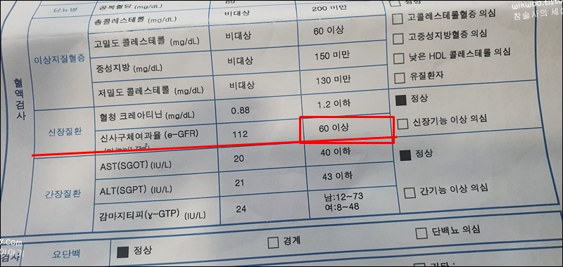 사구체 여과율 정상수치