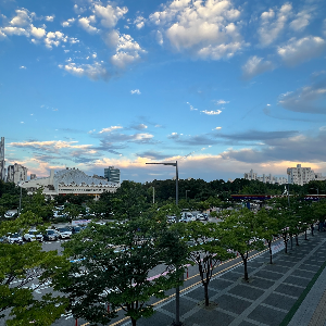 하늘 아래 꽃과 커피, 가장 완벽했던 하루