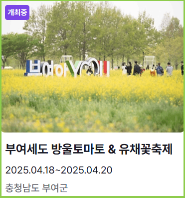 부여세도축제