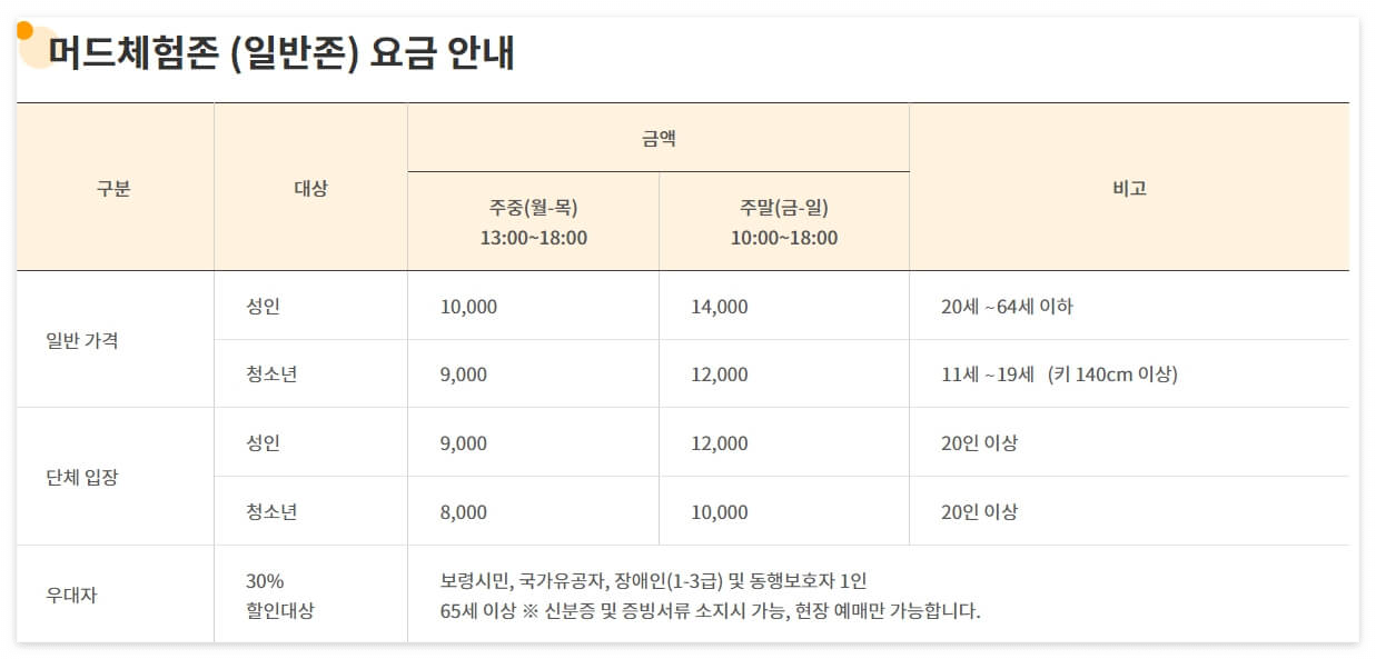 보령 머드축제
