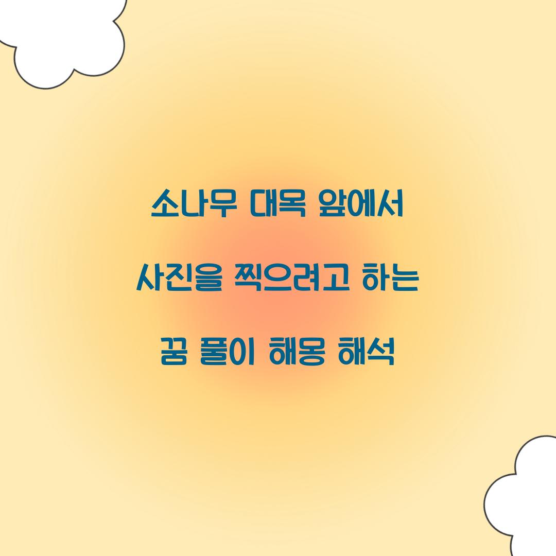 소나무 대목 앞에서 사진을 찍으려고 하는 꿈 풀이 해몽 해석