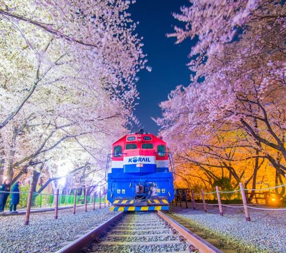 진해 군항제 일정