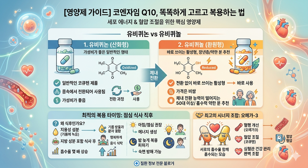 코큐텐 고르는법과 복용법
