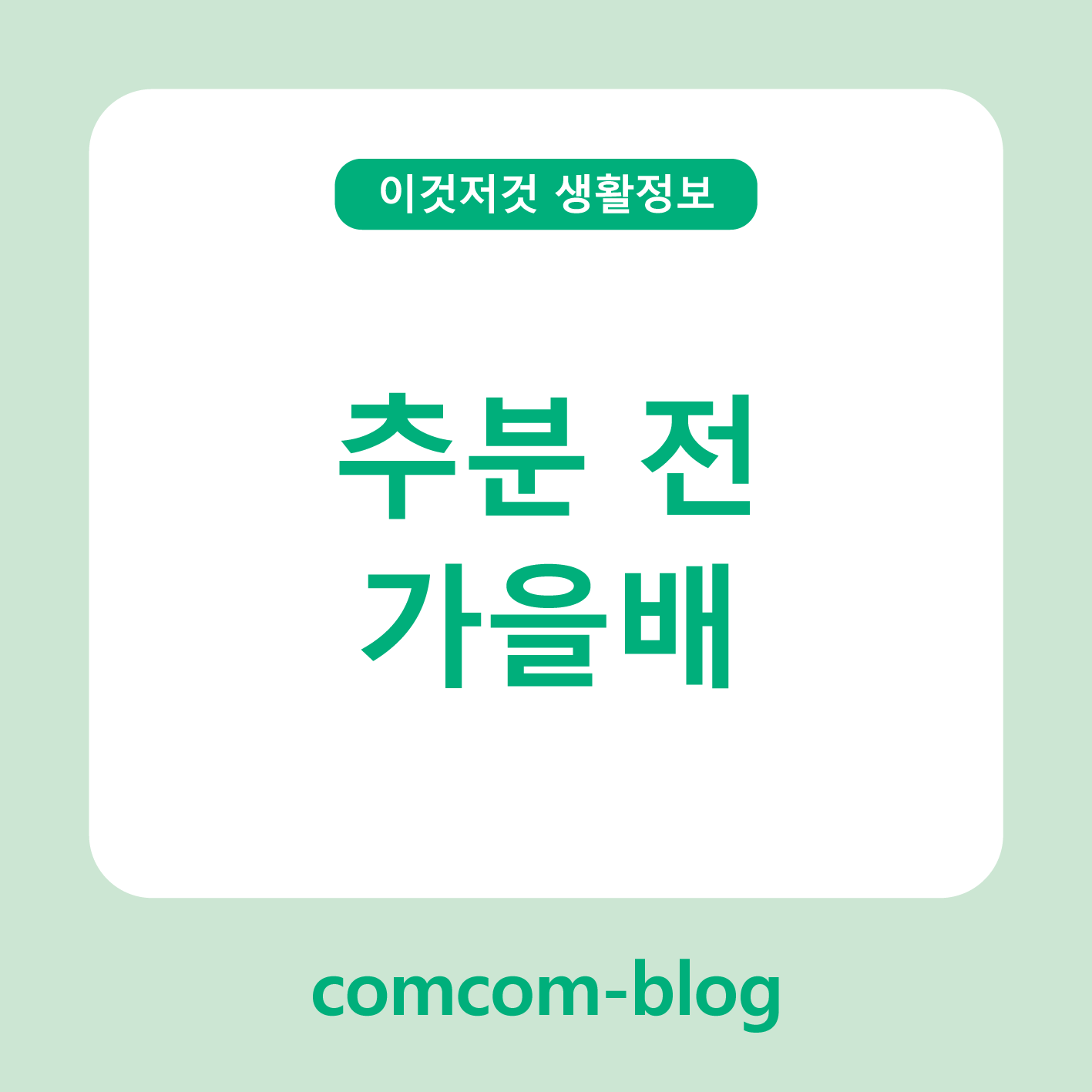 🍐 추분 전, 가을배로 미리 느끼는 달콤한 가을의 맛