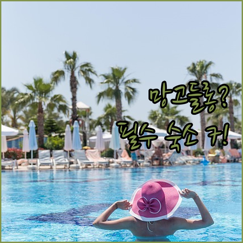 망고들롱 호마 리조트 포함 카모테스 ..