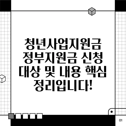 청년사업지원금 정부지원금 신청 대상 및 내용 핵심 정리입니다!