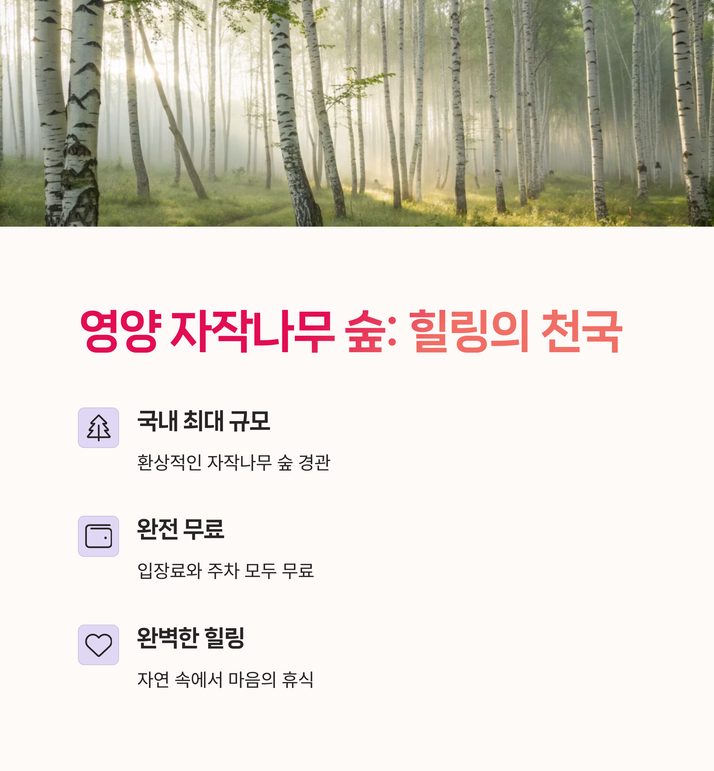 족여행추천, 카메라명소,
