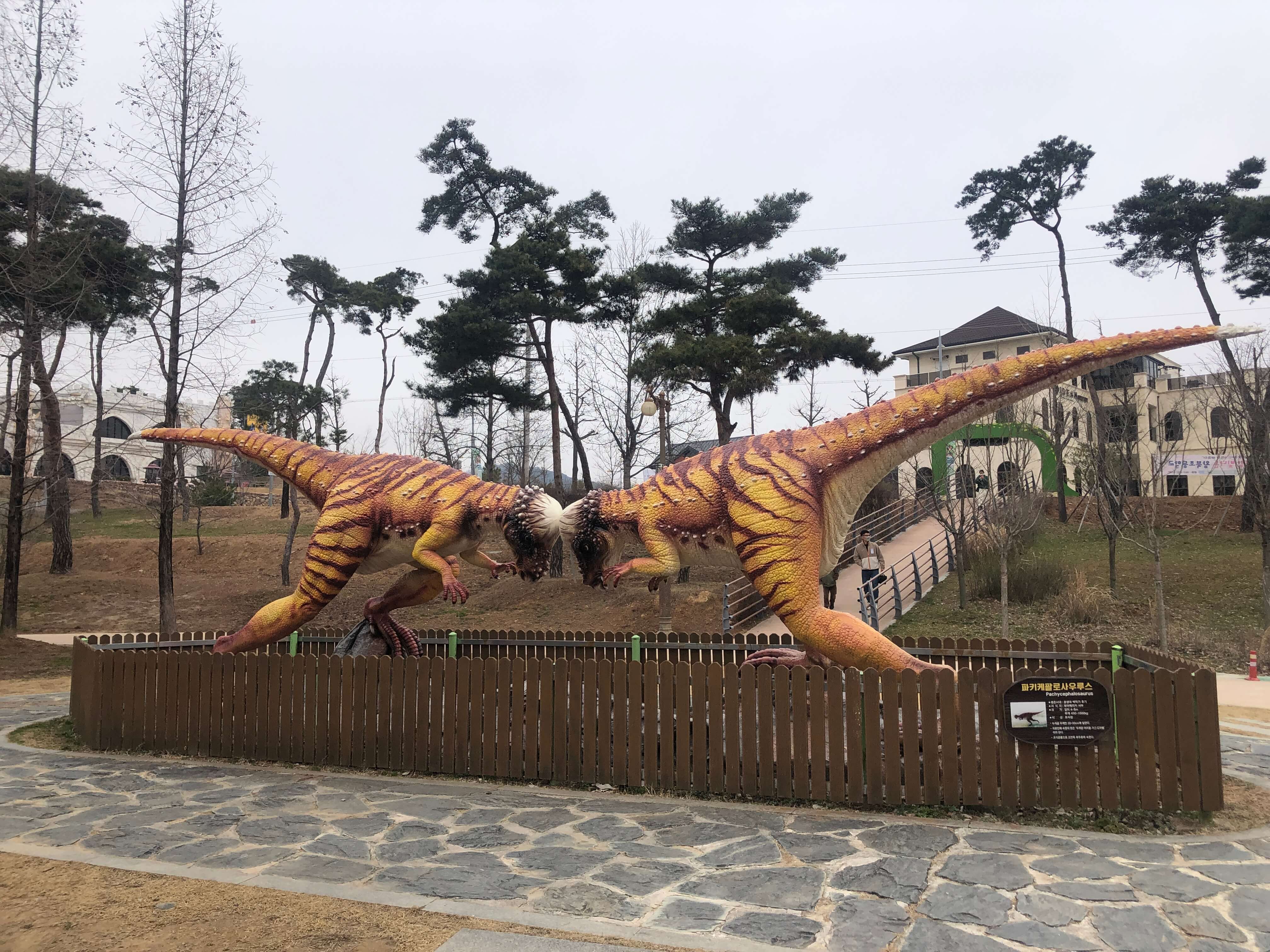 민수랜드-익산공룡테마공원 파키케팔로사우루스