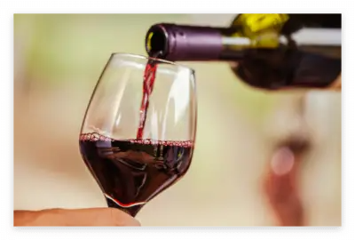 세계 10대 슈퍼푸드 종류와 효능