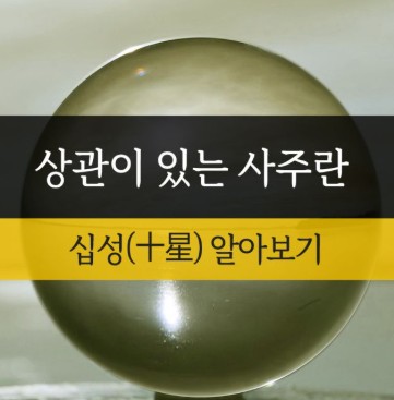 상관격 사주 관련 사진