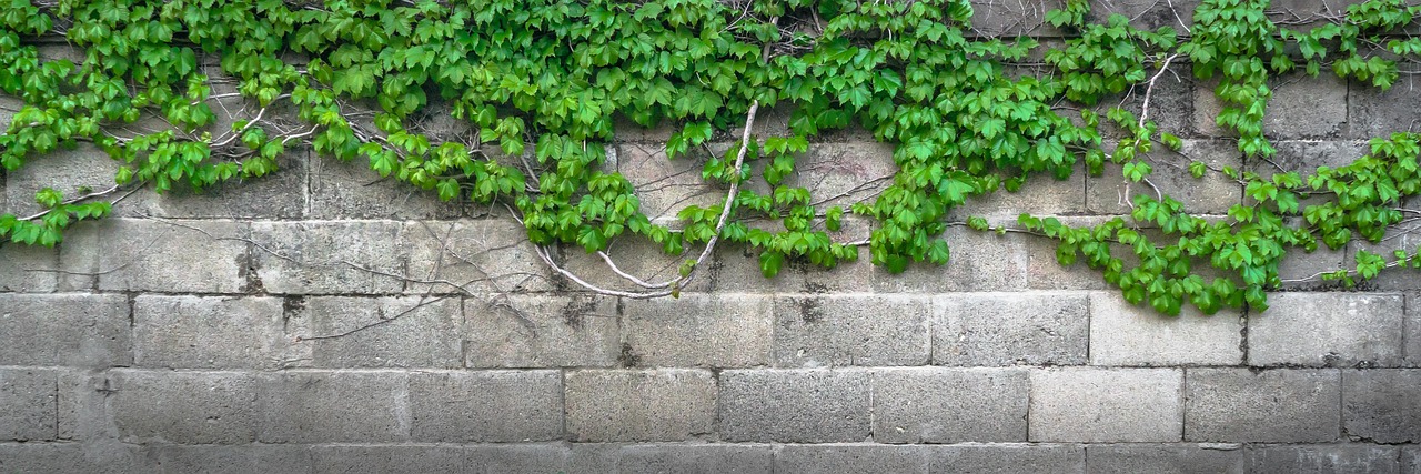 ideogram
