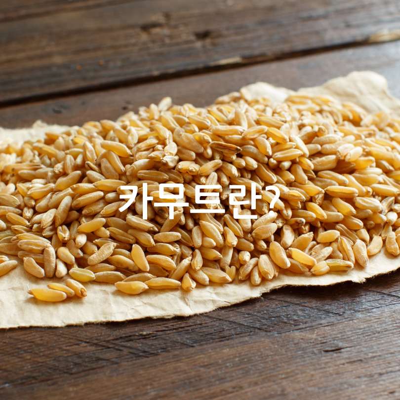 카무트와 카무트 효소 비교