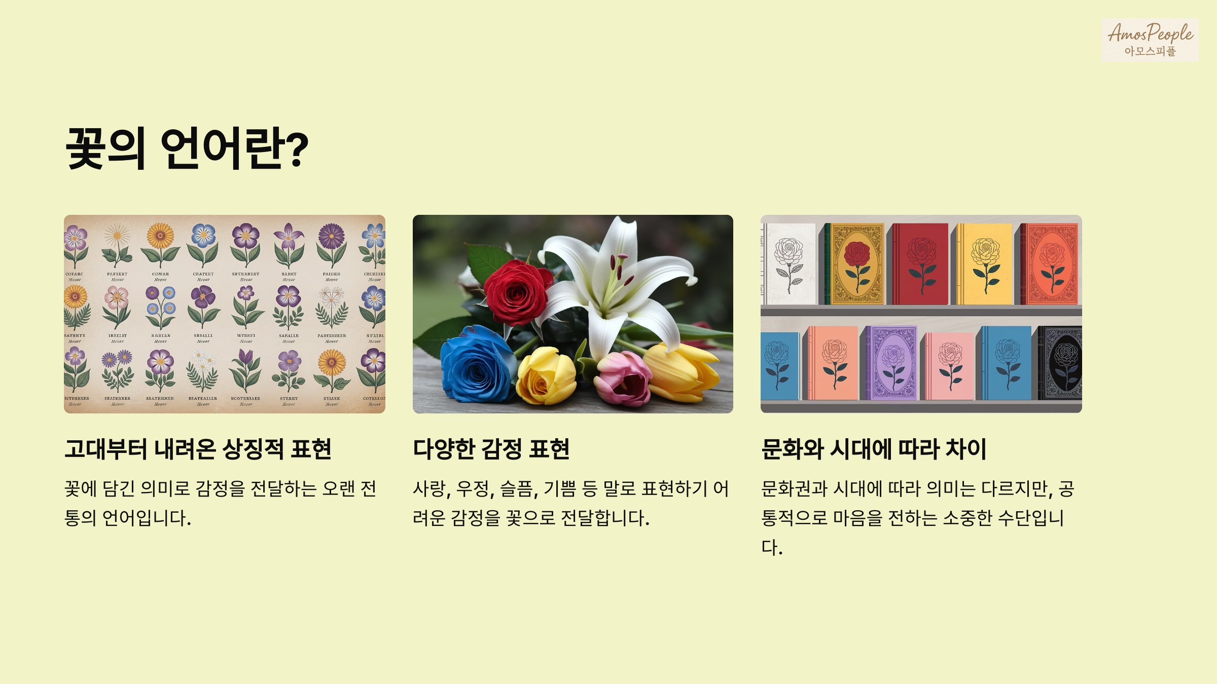 꽃의 언어란 무엇인가요?