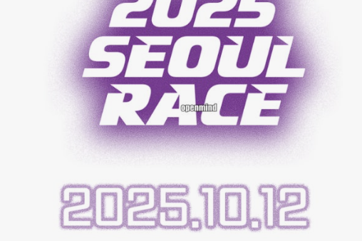 서울레이스 접수 방법&amp;#44; 하프코스 &amp; 11km 코스 완전 가이드