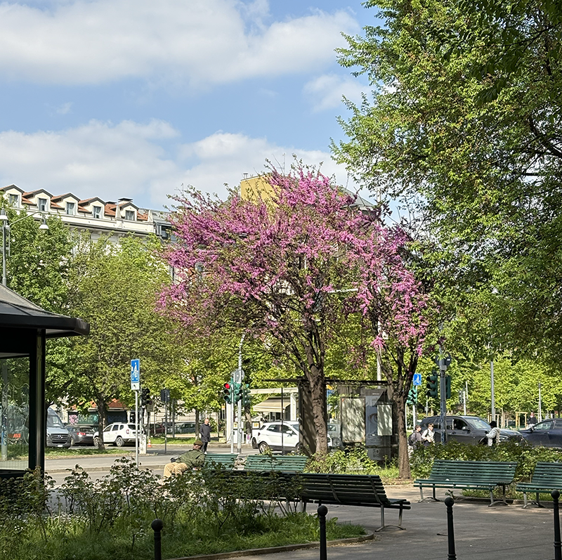 스위트마조람으로 감정을 풀어주는 향기 블렌딩