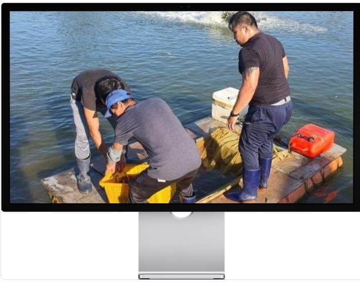 6시내고향 누리집 인생은 행복해 나주 양식 왕새우