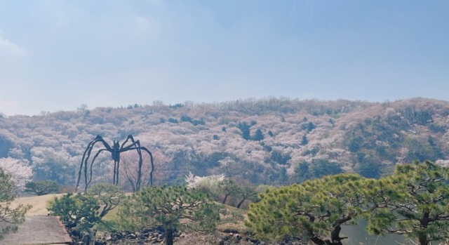 여행과 데이트하기 좋은 곳