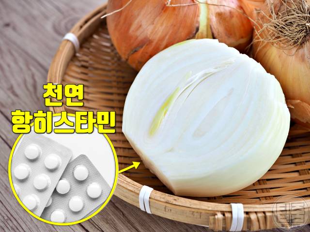 알러지에 좋은 음식 양파 알러지에 좋은 차