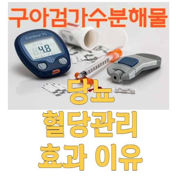 구아검가수분해물의 당뇨 효과 이유