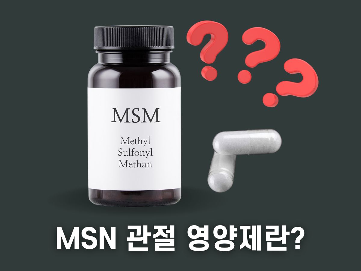 MSN 관절 영양제