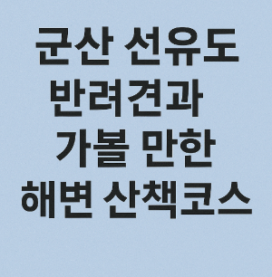 군산 선유도 반려견과 가볼 만한 해변 산책코스