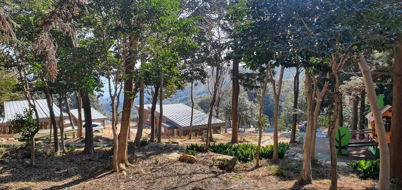 완도 자연휴양림 온라인 예약하기 ❘ 숙소 야영장 캠핑장 실시간 예약 현황 보기 ❘ 전남 완도군