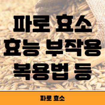파로효소 썸네일