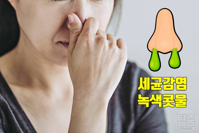 콧물 멈추는법 콧물 멈추는 약 항생제