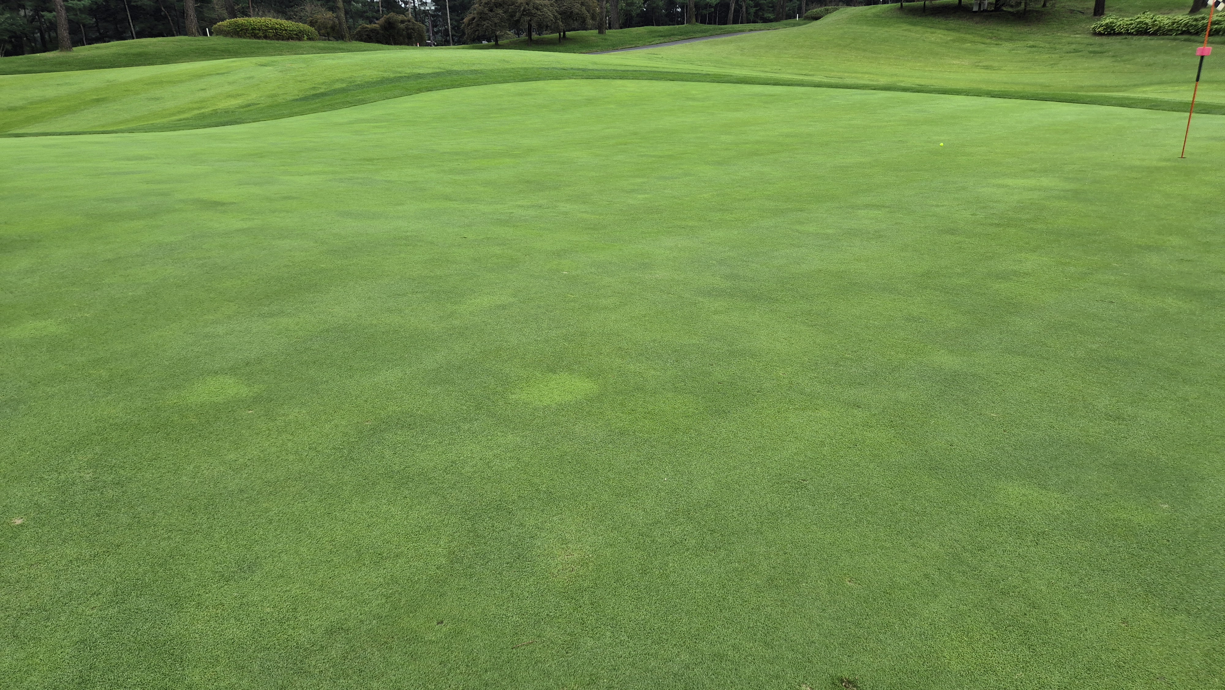 파인스톤cc 그린 빠르기 및 난이도