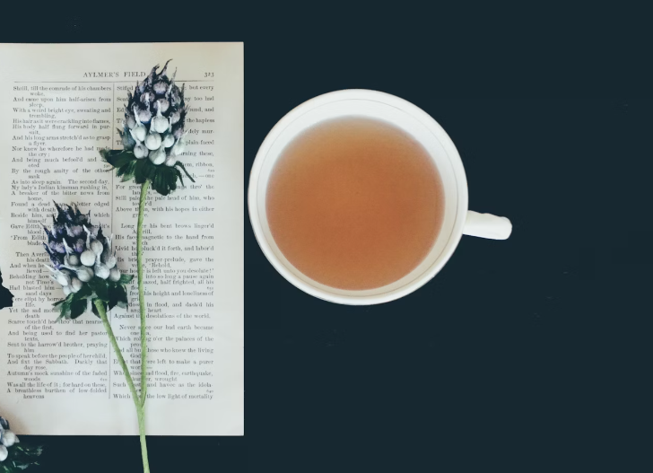 . 상황버섯 복용법 : 차