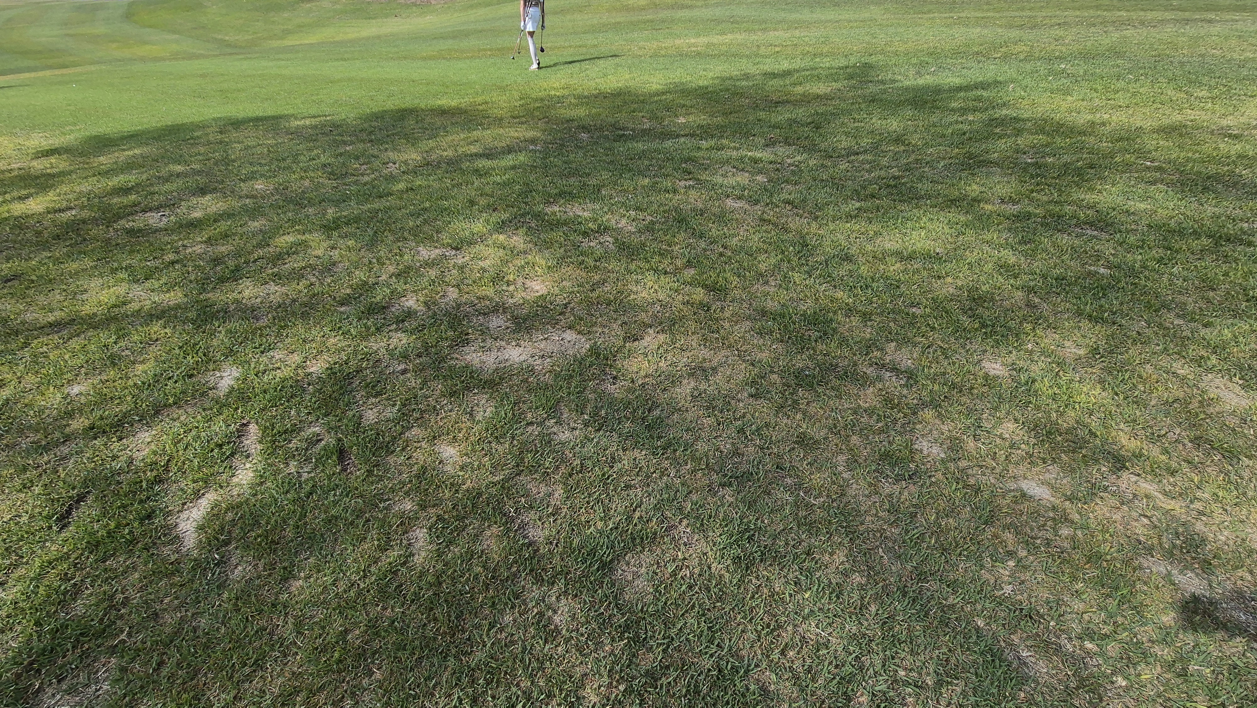 한원cc 라운드후기