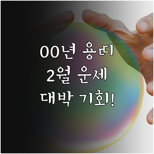 2000년생 용띠 2월 운세 취업 학..