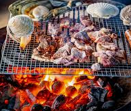 요즘 뜨는 알파CD