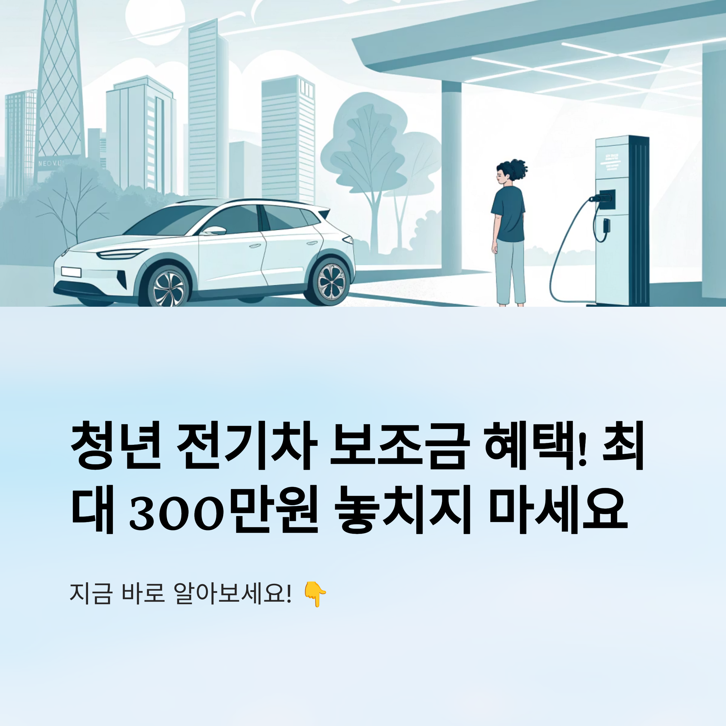 청년 전기차 보조금