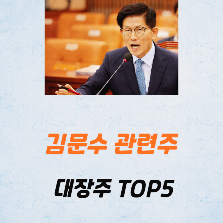 김문수 관련주 대장주 테마주 수혜주 TOP5