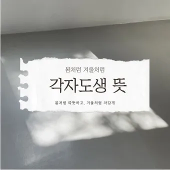 각자도생 뜻 유래 한자 비슷한 말 예문 영어 속담 반대말_18