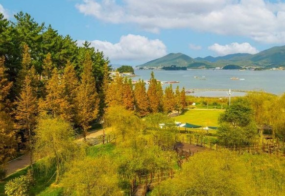 경남 여행지 추천 ❘ 통영 가볼만한 곳 베스트 10. 통영RCE세자트라숲