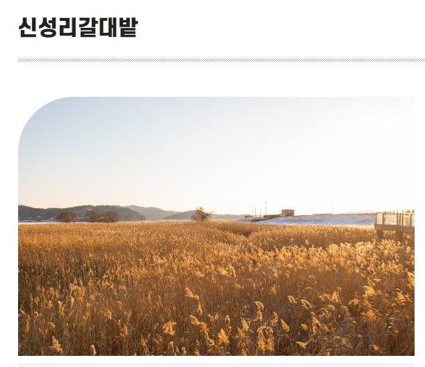 서천 홍원항 자연산 전어꽃게 축제