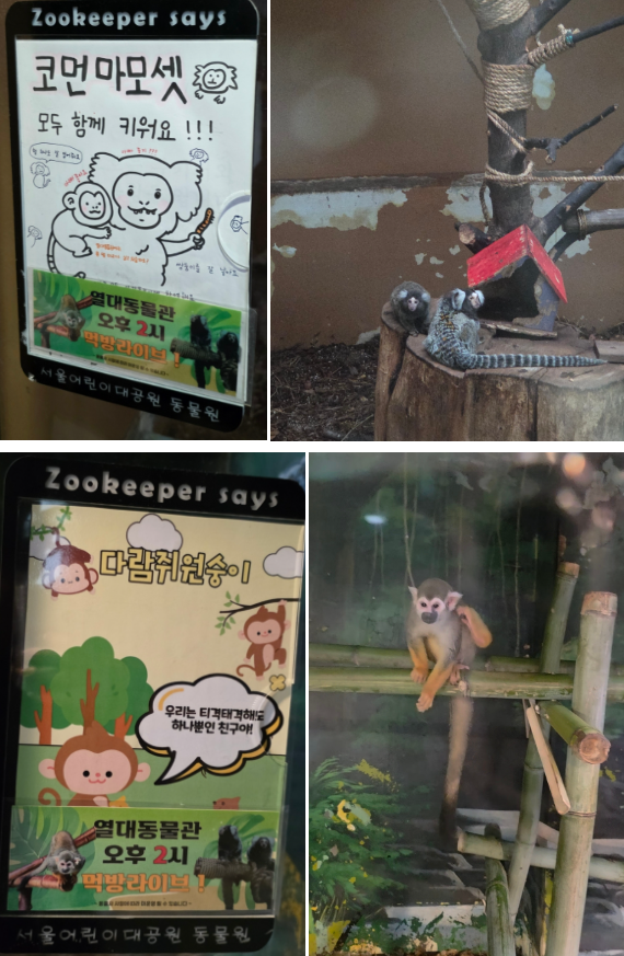 서울어린이대공원 동물원 가을 나들이 (무료입장/관람 코스)