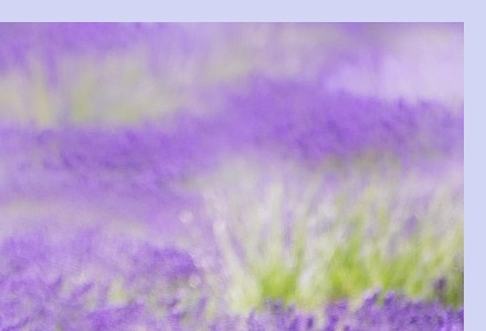 6월 국내 여행지 추천