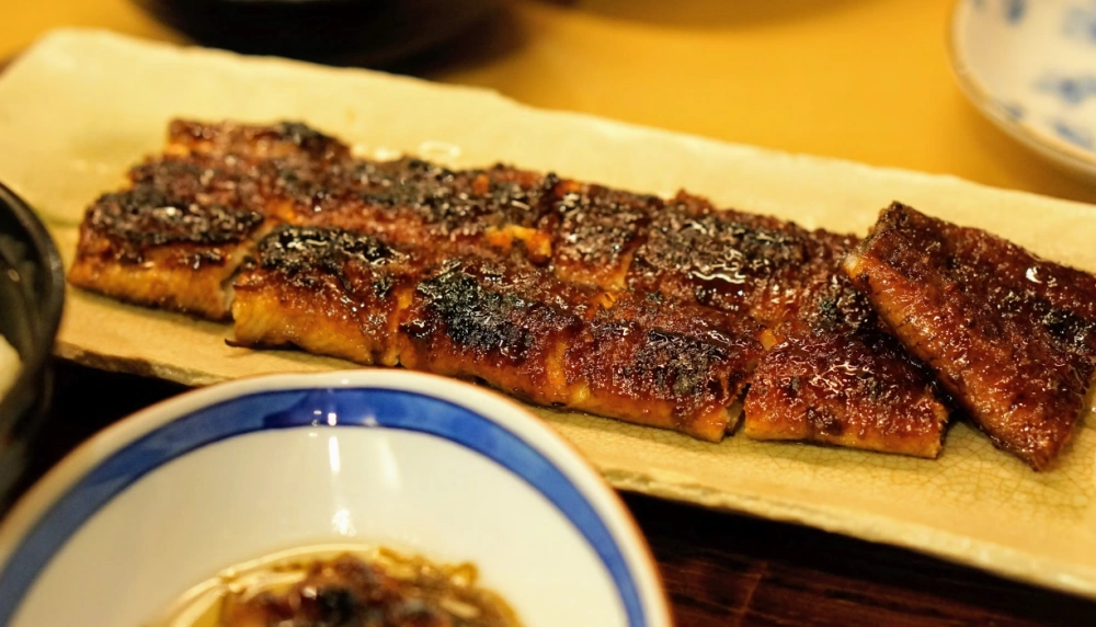 장어진액 효능