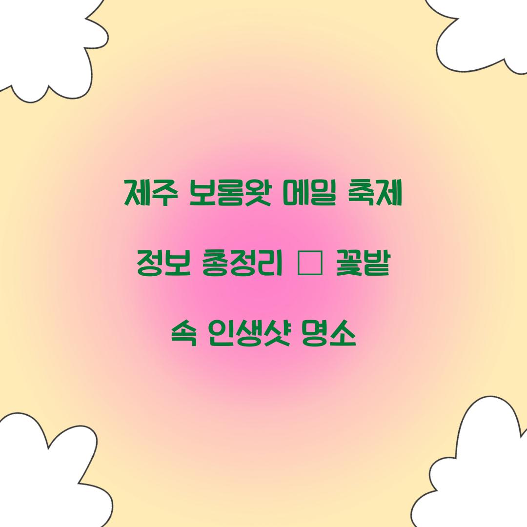 제주 보롬왓 메밀 축제