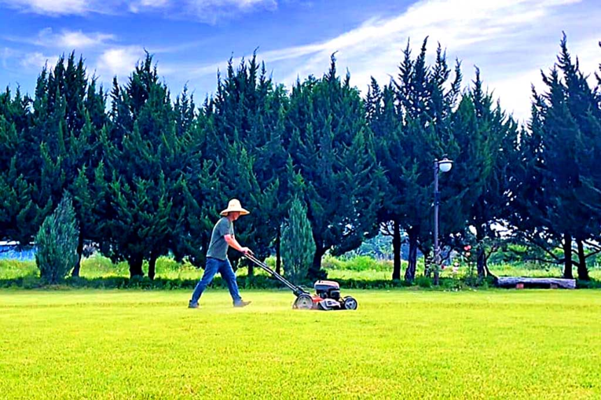 특색있고 아름다운 민간 정원 30선 추천 여행 - 30. 구례 천개의 향나무숲 정원