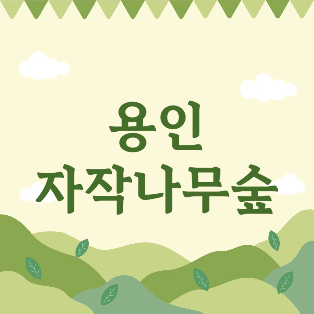 용인 자작나무숲 봄꽃축제