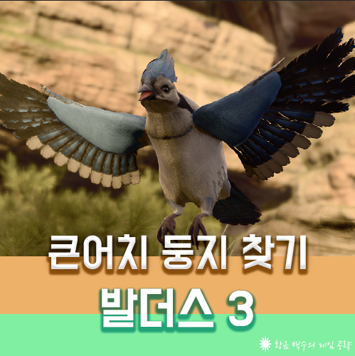 발더스3 큰어치의 둥지 되찾기