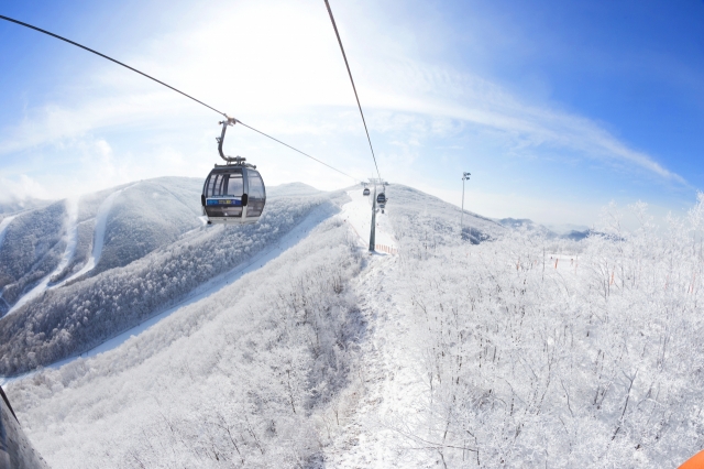 하이원 리조트 스키장